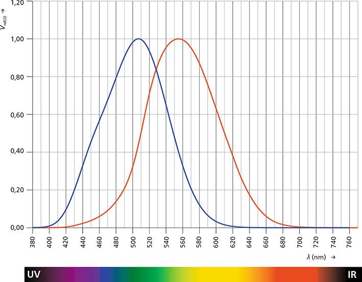 Hellempfindlichkeitskurven: Tagsehen (rot) und Nachtsehen (blau)